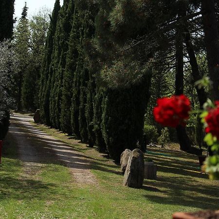 فيلا L'Antica Pala Bucine المظهر الخارجي الصورة